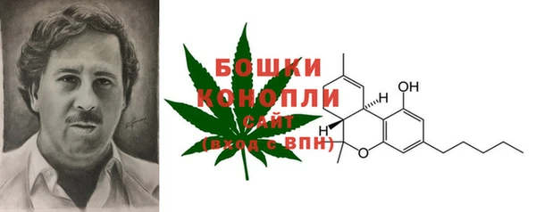 хмурый Корсаков