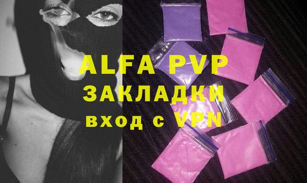 хмурый Корсаков