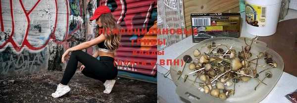 спиды Кодинск