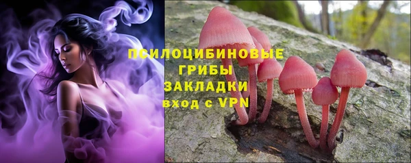 хмурый Корсаков