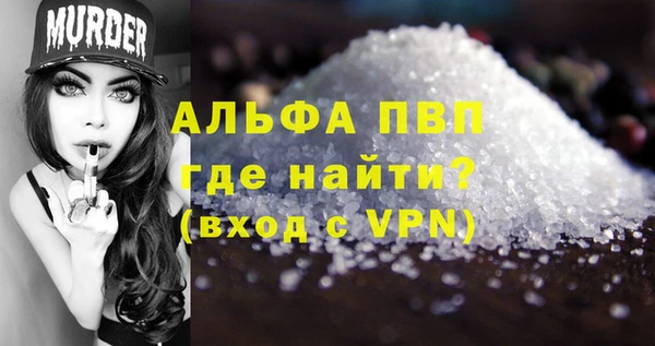 хмурый Корсаков
