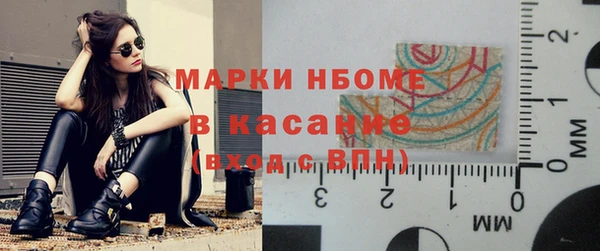 хмурый Корсаков