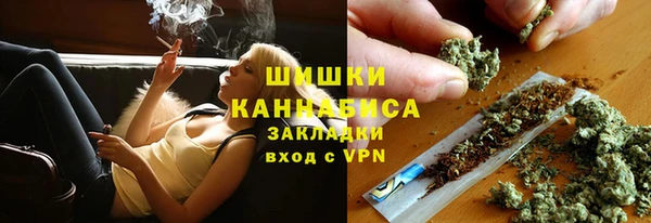 хмурый Корсаков