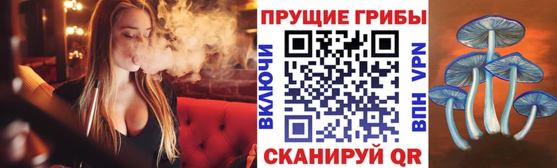 Псилоцибиновые грибы мухоморы  где можно купить   Ахтырский 